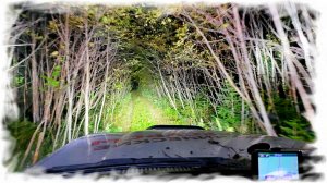 По следам "Золотого рейда" 2025 (день 6-й)