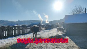 Будни в деревне...