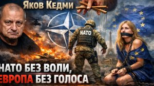 Яков Кедми - НАТО без воли, Европа без голоса