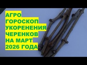 МАРТ 2026: Самые Лучшие Дни для Нарезки и Укоренения Черенков Растений?!
