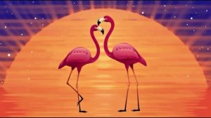 Фламинго 01_encoded