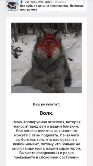 какое я животное под прицелом..