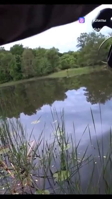 11-02-2026 смотреть онлайн