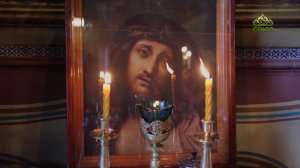 Митрополия (Рязань). 11 февраля 2026