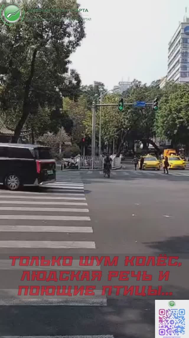 Гуанчжоу - город электромобилей и поющих птиц. смотреть онлайн