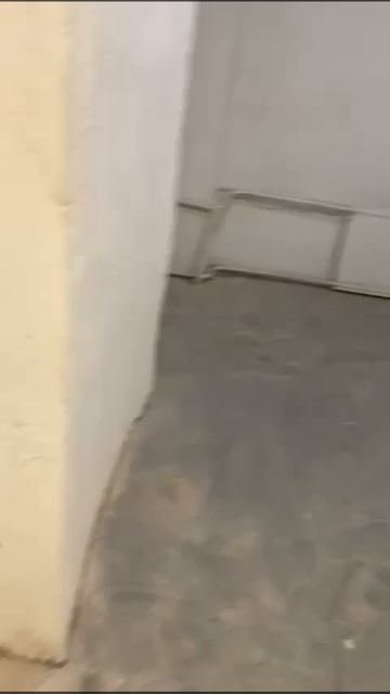 Садовая 42 торговое с витринами 67.3