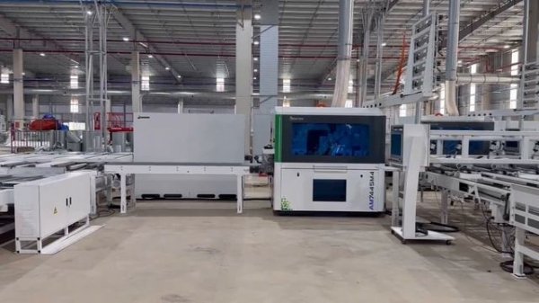 205 JANGJA со сканером дефектов древесины PRO SCAN C 4S