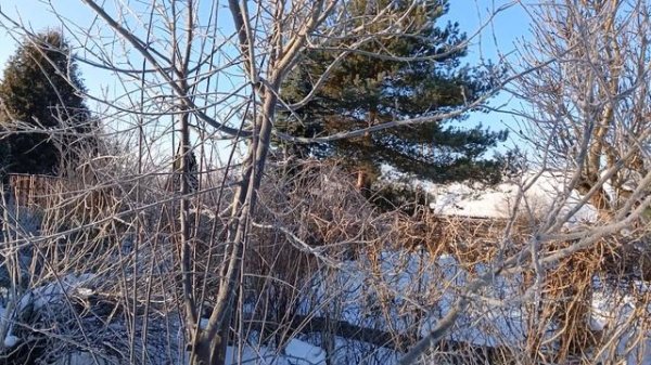 Февральский, зимний день на даче. Красота.