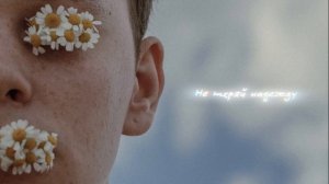 VINOGRADOV «Не теряй надежду»