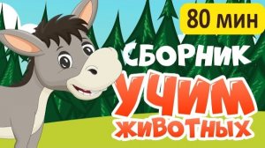 СБОРНИК | Развивающие мультики про животных для детей