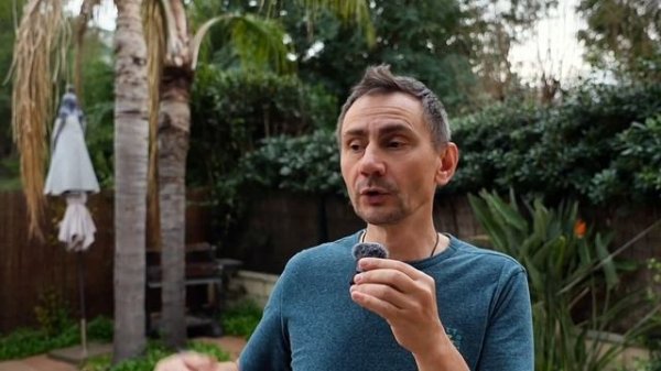 Уᴋᴩᴀинᴀ ᴦᴏᴛᴏʙиᴛ ʙыбᴏᴩы нᴀ 15 ʍᴀя