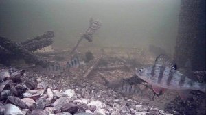 1000008879.mp4Волга гл.2м.11.02.2026г.