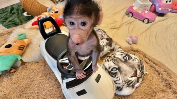 Николь стала такая активная, скоро уже не догонишь