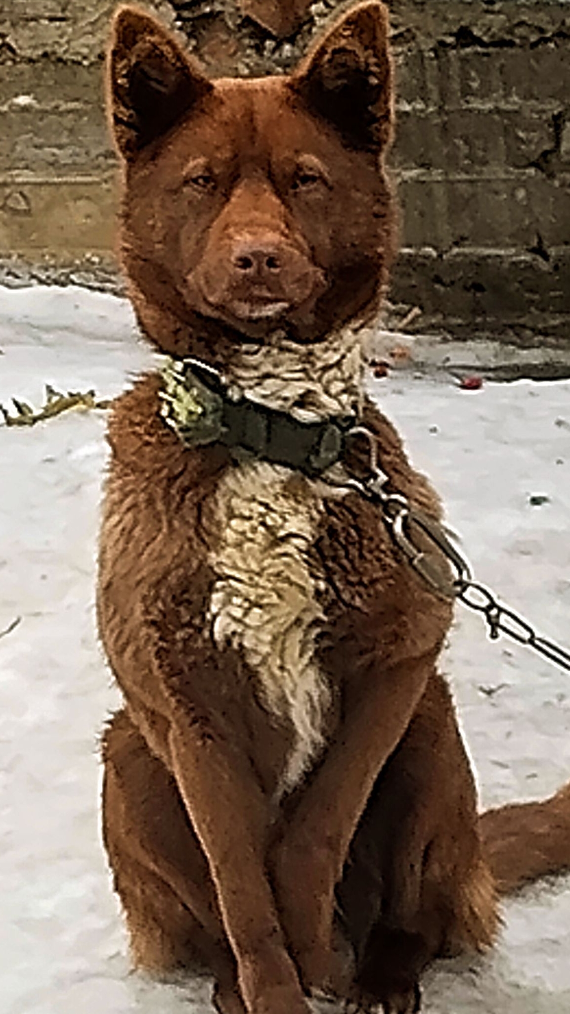 Мишка в дождливое утро февраля! 11-02-2026 смотреть онлайн