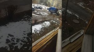 сирены воют