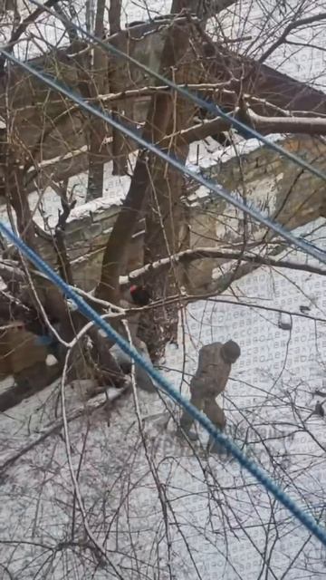 Спасение на дереве.