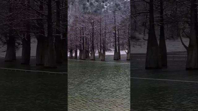 ЖК Кипарис и Кипарисовое озеро Сукко под снегом 9 Февраля 2026 года. Потерянное видео. смотреть онлайн