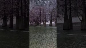 ЖК Кипарис и Кипарисовое озеро Сукко под снегом 9 Февраля 2026 года. Потерянное видео.