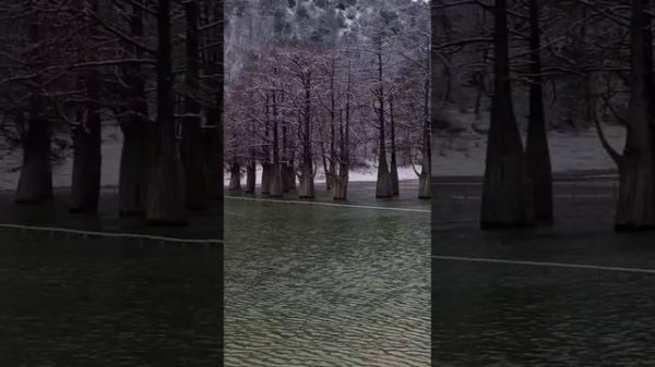 ЖК Кипарис и Кипарисовое озеро Сукко под снегом 9 Февраля 2026 года. Потерянное видео.