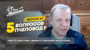 Пять вопросов пчеловоду — Андрей Якимов отвечает. Выпуск №5