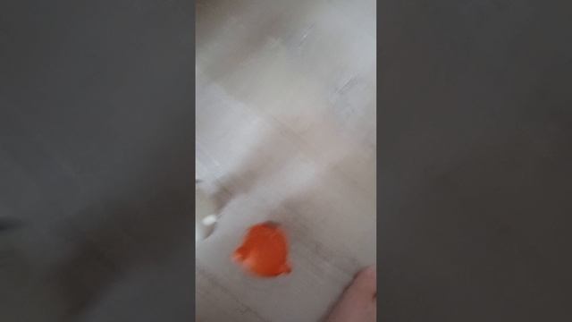 1000042618.mp4 смотреть онлайн