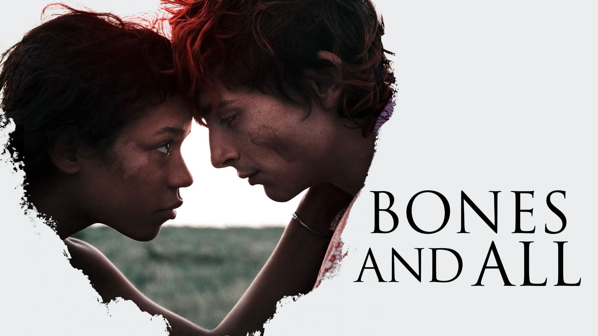 Целиком и полностью (2022) / Bones and All