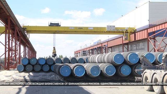 Волгоградские предприниматели открывают новые горизонты экспорта смотреть онлайн