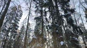 Контест игра Мороз-красный нос 2026. TX-500MP спас ситуацию? #радиолюбители #радиосвязь #hamradio