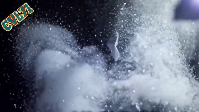 Денис Рычков - Ледяной букет смотреть онлайн