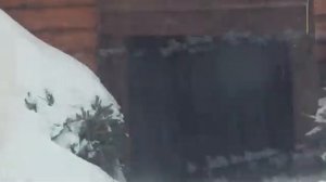 11.02.26гЛапки греть в летнюю будку Перерыв