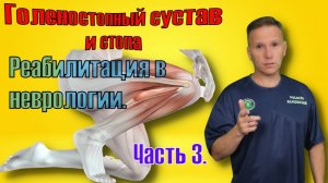 Почему подворачивается стопа при ходьбе после инсульта. Часть 3.