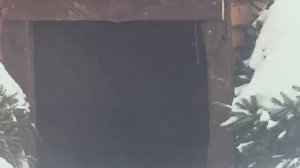 11.02.2026Наша лапка пошла греть лапку в летнюю будку