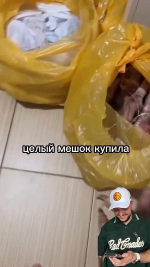 Мешок еды для собаки