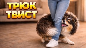 Трюк ТВИСТ, обойди меня задом, движение назад вокруг человека