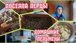 10.02.2026 // Утренняя ходьба // Стряпаю пельмени