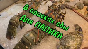 В поисках еды для папика в Паттайе‼️Тайланд 2026 февраль