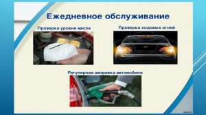 Управ. проц. ТОиР авто. 12.02-13.02. 531 гр. Виды ТО.