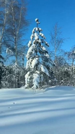 Красота в глазах смотрящего...