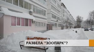 Жительница одной из малосемеек в Новом городе завела несколько десятков кошек