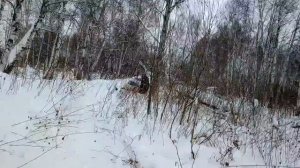прогулка на снегоходах