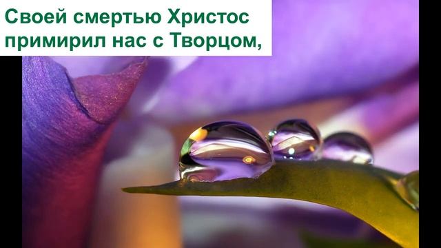 Путь к Голгофе далек(Очень красивая песня) смотреть онлайн