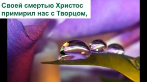 Путь к Голгофе далек(Очень красивая песня)