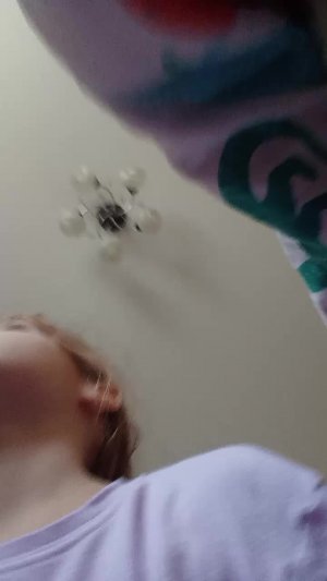 делаем домик для бумажных собак убираем конюшню лошадей schleich