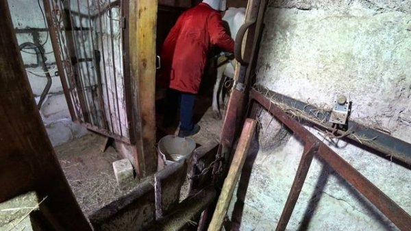 Влог от 15.03.2022