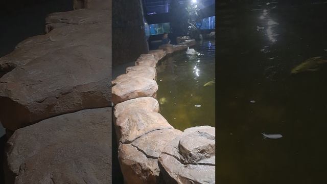 океанариум 2