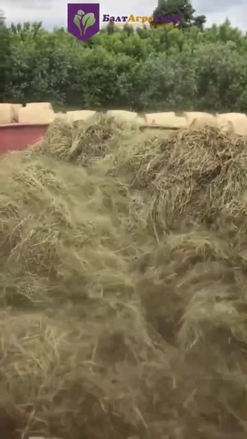 Запуск миксера-корморздатчика Trioliet смотреть онлайн