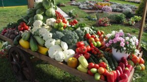 Готовлюсь к посадкам 2026 год