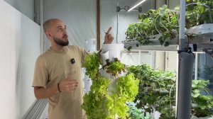 Гидропоника на заднем дворе — серия 4. Электрика