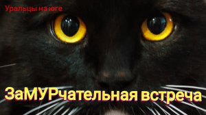 Снег.Подруги.Банька.