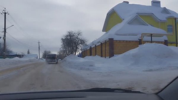 Из города в деревню. Меня выгуливает.